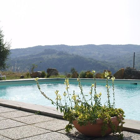 Agriturismo Biologico Poggiopiano Fiesole Exterior foto