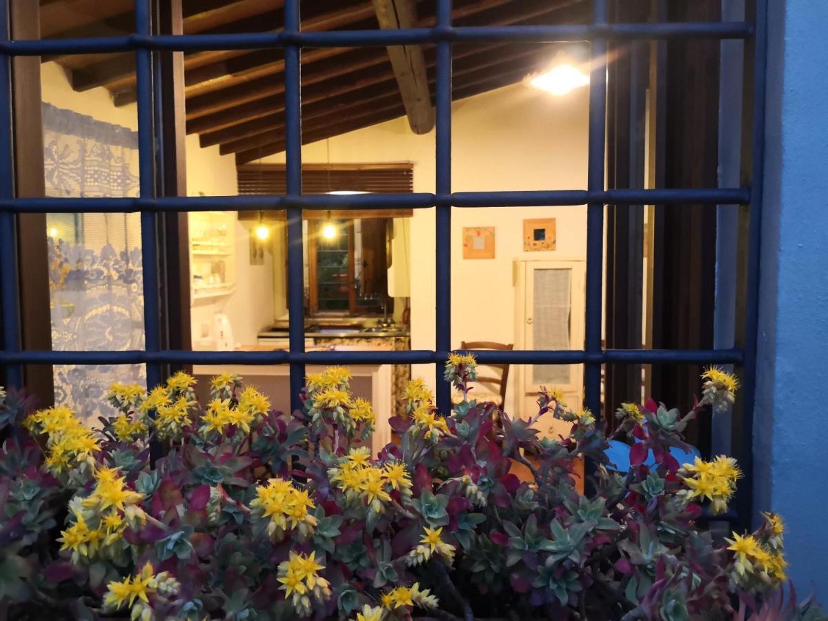 Agriturismo Biologico Poggiopiano Fiesole Exterior foto