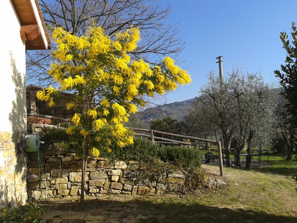 Agriturismo Biologico Poggiopiano Fiesole Exterior foto
